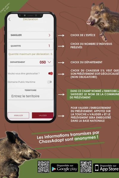 FDCM-Flyer-ChassAdapt-A52
